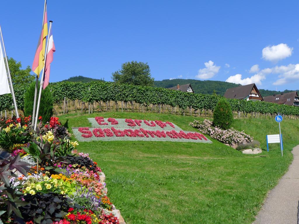 Landhaus Schoenen Sasbachwalden Exteriör bild